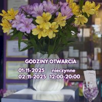Godziny otwarcia salonu Nova2 Solarium & Światłoterapia - Warszawa Mokotów